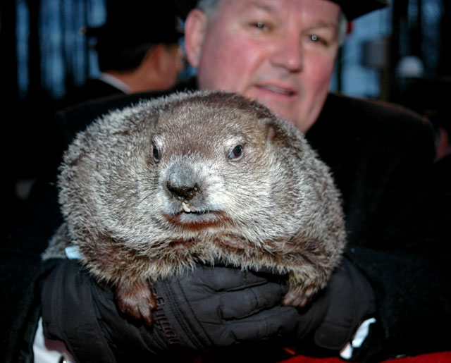 ... can t tell them apart anymore PUNXSUTAWNEY PHIL the famous groundhog