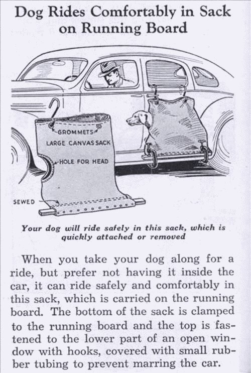 inventiondogcarrier