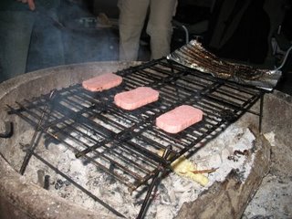 spam
