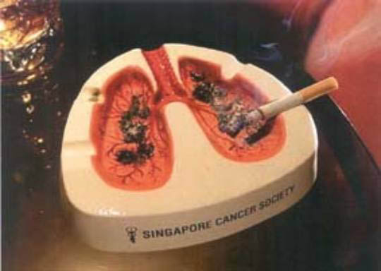 smokingistasty