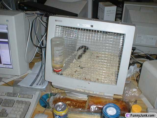 welovecomputers5