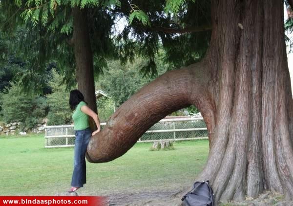 How Not to Pose With a Tree