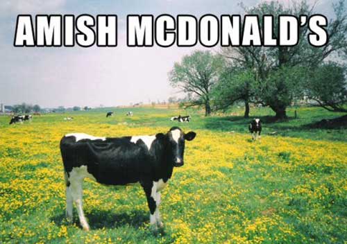 amish