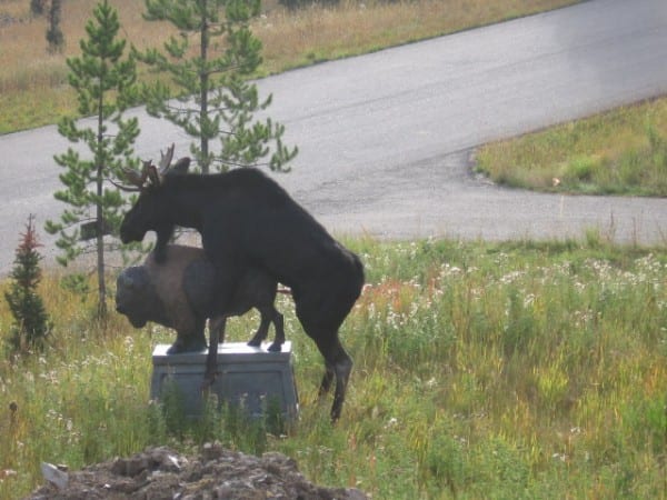 humping