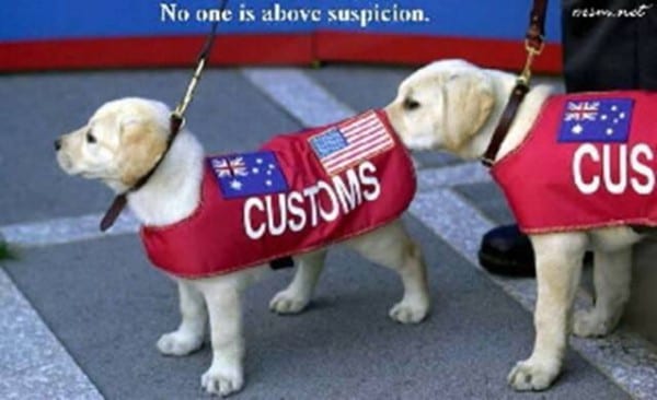 Thorough Customs Agents
