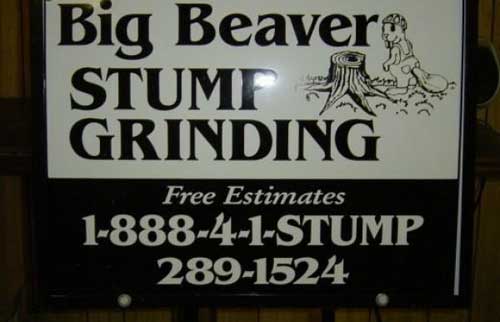 big-beaver
