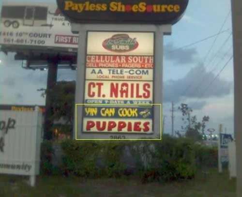 can-cook-puppies