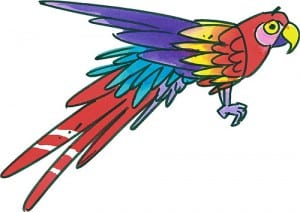 parrot