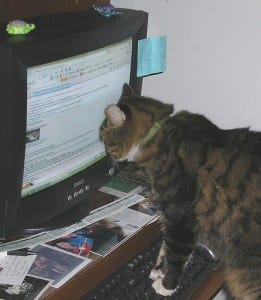 catcomputer