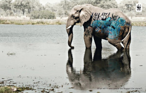 15 Super Creative Print Ads Starring Animals