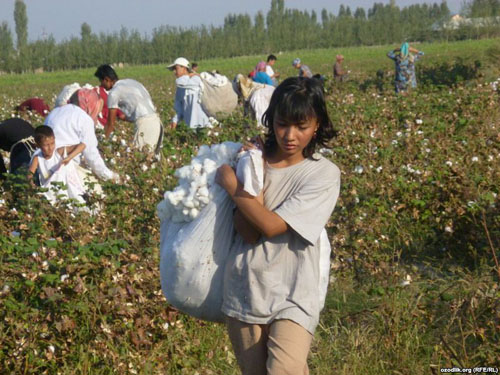 Forever 21, Aeropostale, Toys 'R' Us, Urban Outfitters