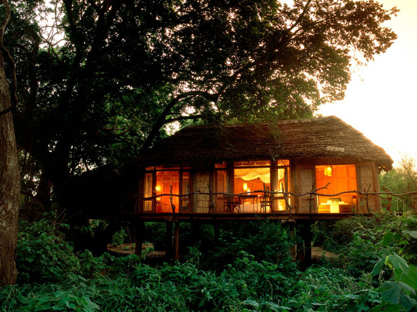 14. Lake Manyara Tree Lodge, Tanzania