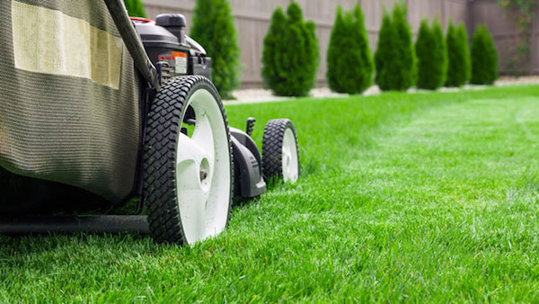 Dirty Money: 10 Ways That Landscaping Companies Stay In the Black